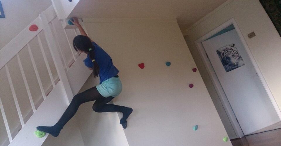 Adventure Developments “Climbing Walls”